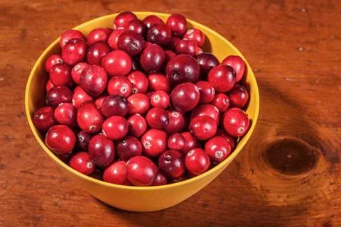 Ripe cranberries Stock Photos