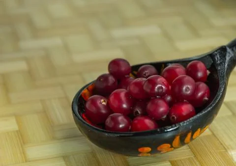 Ripe cranberries Stock Photos