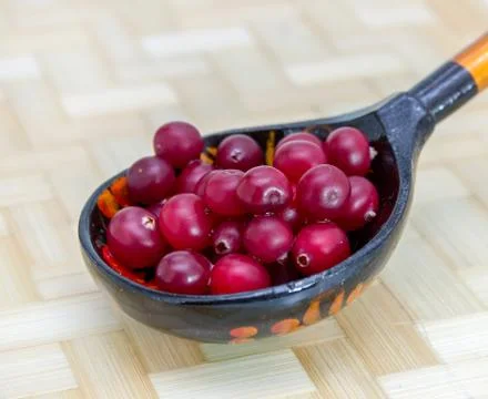 Ripe cranberries Stock Photos