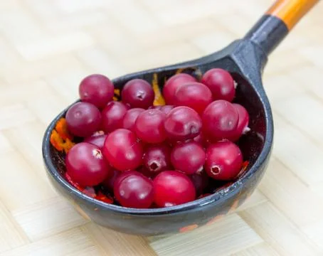 Ripe cranberries Stock Photos