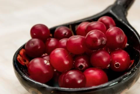 Ripe cranberries Stock Photos