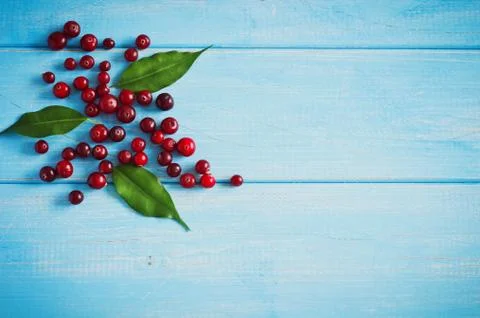 Ripe cranberries Stock Photos