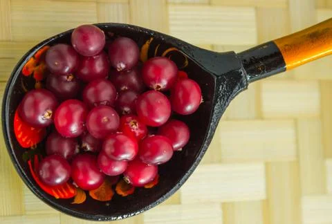 Ripe cranberries_2 Stock Photos