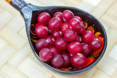 Ripe cranberries_3 Stock Photos