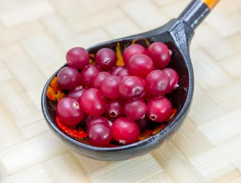 Ripe cranberries_6 Stock Photos