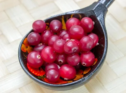 Ripe cranberries_7 Stock Photos