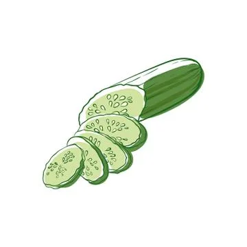 Ripe cucumber isolated vector icon Stock Illustration