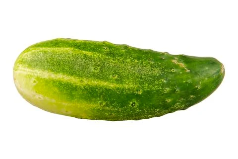 Ripe cucumber on a white background Foto stock
