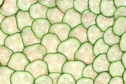 Ripe cucumbers Stock Photos