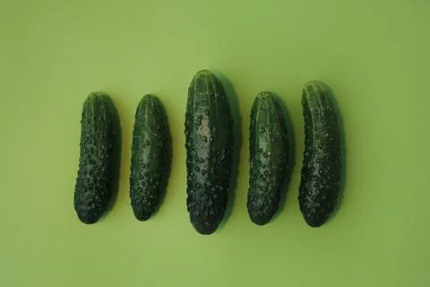Ripe cucumbers Stock-Fotos
