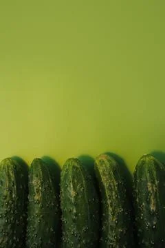 Ripe cucumbers Stock Photos