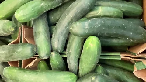 Ripe cucumbers seen from above Stock Footage 317220893