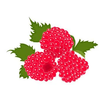 Ripe cute raspberry with leaves vector icon. Raspberry icon clipart. Raspberry Stock Illustration