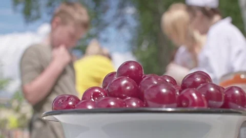 Ripe Dark Red Cherries Vídeo Stock 77403864