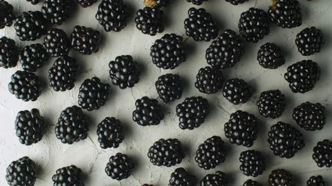 Ripe dewberries on white Video stock 140031025