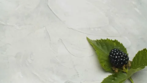 Ripe dewberry on a branch Video stock 140351873