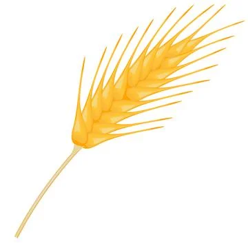 Ripe ear wheat Stock Illustration