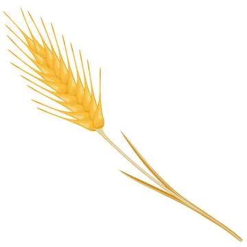 Ripe ear wheat Stock Illustration