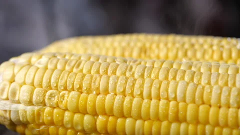 Ripe ears of corn in boiling water with vitamins for good healthy. Video stock 131691693