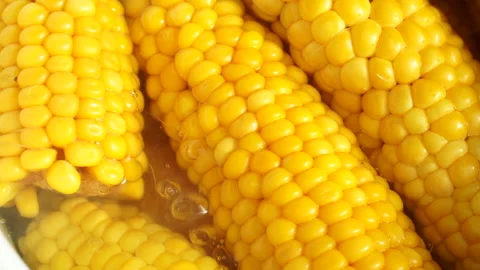 Ripe ears of corn in boiling water. Cooking vegetables in a pot. Close up shot Vidéo 139863116