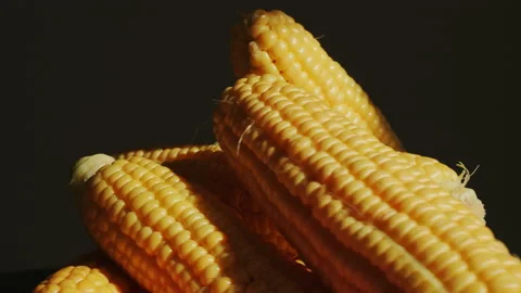 Ripe ears of corn rotating Vidéo 139883777