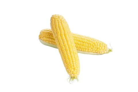 Ripe ears of corn on a white background isolation. Foto stock
