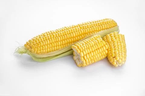 Ripe ears of corn on a white background. Stock Photos