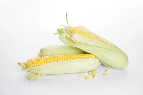 Ripe ears of corn on a white background Stock-Fotos