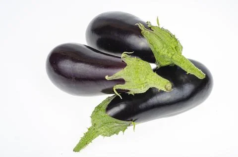 Ripe eggplant on white background. Studio Photo Stock Photos