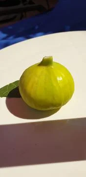Ripe Fig fruit in the sun Stock Photos