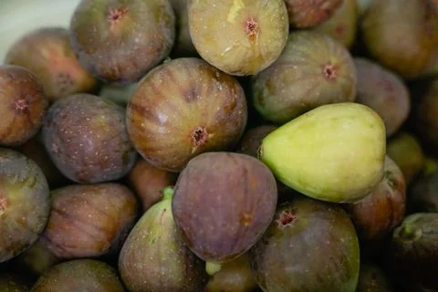 Ripe figs closeup Stock Photos