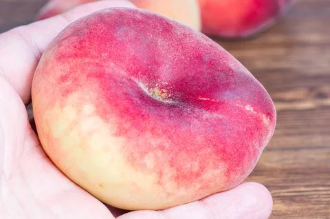 Ripe flat saturn peach close up view resting on a person hand with blurred ba Foto stock