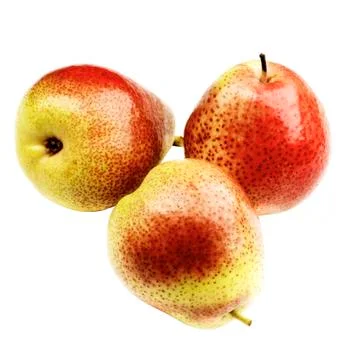 Ripe Forelle Pears Stock Photos