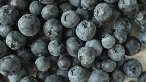 Ripe fresh blueberries slowly moving on a white background Stock Footage 342436734