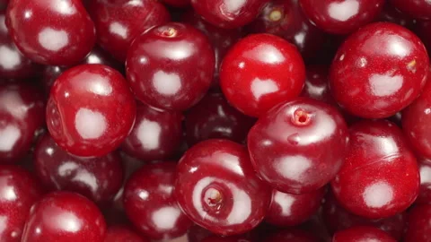 Ripe fresh cherry berries rotation, close-up. Stock Footage 340067534