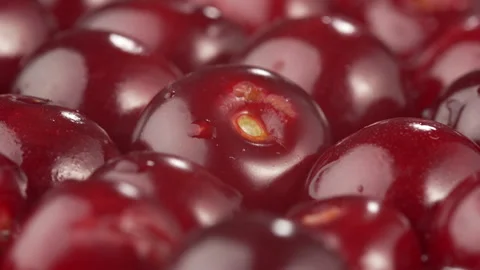 Ripe fresh cherry berries with water drops rotation, close-up. Stock Footage 340067555