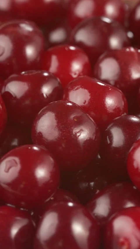 Ripe fresh cherry berries with water drops rotation, close-up. Top view Stock Footage 340069818