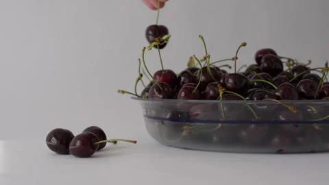 Ripe fresh dark red sweet cherries Stock Footage 337350147