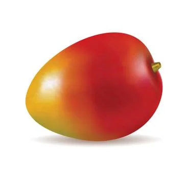 Ripe fresh mango vector illustration 스톡 일러스트