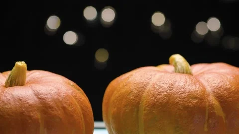 Ripe fresh orange pumpkins Stock Footage 140397686