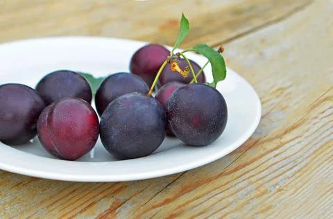 Ripe  fresh  plums Photos
