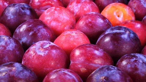 Ripe fresh plums rotating in 4K. Vidéo 86974768