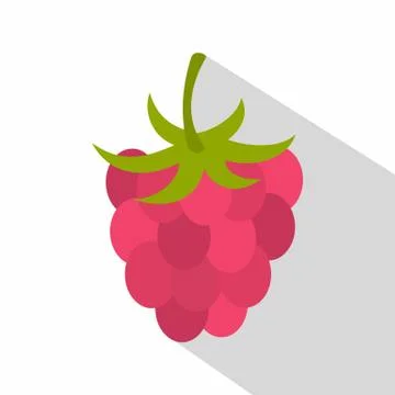 Ripe fresh raspberry icon, flat style Illustrazione stock