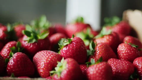 Ripe Fresh Strawberries In A Box Crate Stock Footage 339092352
