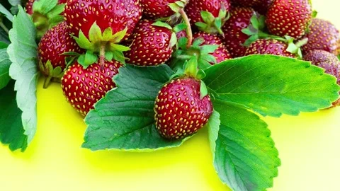 Ripe fresh strawberry Stock Footage 183483307
