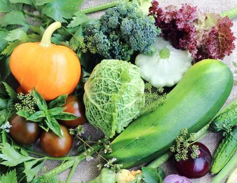 Ripe fresh vegetables close up Stock Photos