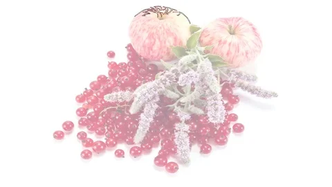 Ripe fruit and leaves of mint. Draw a path. Animation 스톡 동영상 84140873