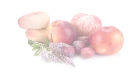 Ripe fruit and leaves of mint. Draw a path. Animation Stock Footage 84140874