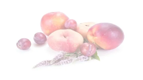Ripe fruit and leaves of mint. Draw a path. Animation Video stock 84140876