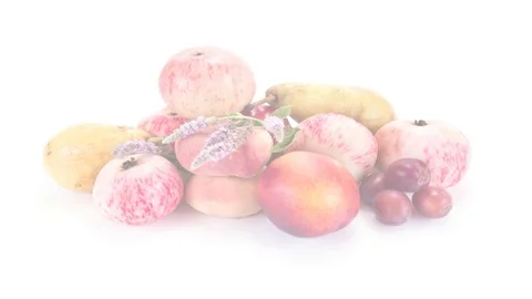 Ripe fruit and leaves of mint. Draw a path. Animation Stock Footage 84140879